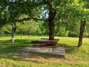 a picnic table under a tree in a park at Vikendica ZORA in Foča