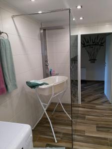 a bathroom with a sink and a glass shower at CasaVitis "Erholung am Weinberg" in Lontzen +28 photos