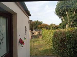 a view of a yard from a house with a hedge at Cozy stay in Dublin