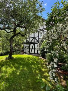 a white house with a tree and a grass yard at Haus Auenland in Groß Felda