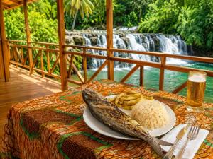 a table with a plate of fish and rice and a waterfall at Cascata- Pousada Encanto Do Mar in Santa Irene