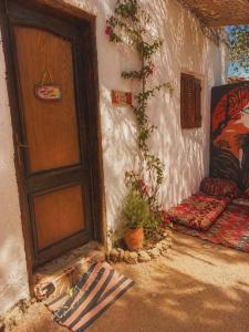 an entrance to a house with a door and a plant at Cozy Dahab Studio with Private Courtyard in Dahab