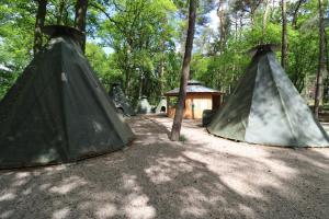 Nuotrauka iš apgyvendinimo įstaigos Wolfcenter Tipis - ohne Betten - inklusive Eintritt in das Wolfcenter für zwei Tage mieste Derverdenas galerijos