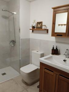 a bathroom with a toilet and a shower and a sink at Cereza Home in Cabezuela del Valle +9 photos