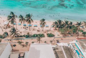 Luftaufnahme eines Strandes mit Palmen in der Unterkunft Hotel Portobelo beach in San Andrés