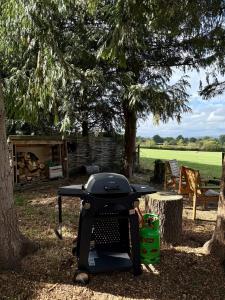 a grill sitting in the shade of a tree at Pinetree Lodge, Cotswolds in Mickleton