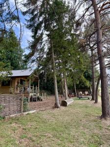 a log cabin with a playground next to some trees at Pinetree Lodge, Cotswolds in Mickleton