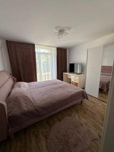 a bedroom with a bed and a television in it at Apartament Uricani in Uricani