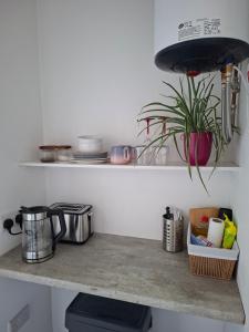 a kitchen counter with a plant on a shelf at Bundoran Holiday Letting in Bundoran +6 photos