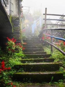 a set of stairs in a garden with flowers at Saamiyanaa Cloud Nest in Kalimpong