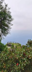 a path on top of a hill with trees at Saamiyanaa Cloud Nest in Kalimpong