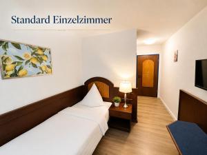 a hotel room with a bed and a television at Hotel Garni Italia in Bühl