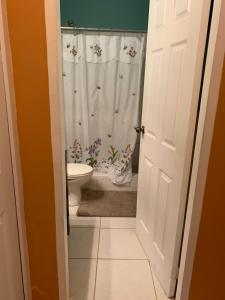 a bathroom with a toilet and a shower curtain at Alluring Ambrosia in Arouca