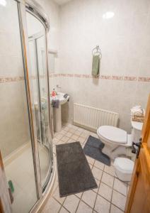 a bathroom with a shower and a toilet and a sink at Knockaderry House in Ennis +44 photos