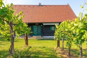 a house with a red roof and green doors and trees at Winzerhaus Löscherannerl in Kogl +8 photos
