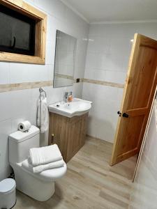 a bathroom with a toilet and a sink and a mirror at Cabañas en neltume in Neltume +6 photos