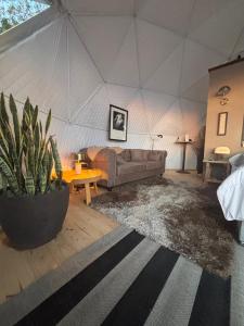 a living room with a couch in a tent at Arequita Lodge in Minas