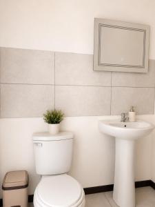 a white bathroom with a toilet and a sink at Anluka Estudio Yaguarundi in Puerto Jiménez