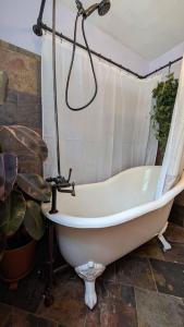 a bath tub in a bathroom with a plant at Live Oak Home with Garden Studio in Gainesville