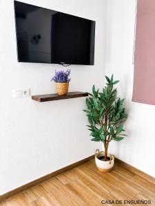 a tv on a wall with a potted plant at Villa Soñada Setenil in Setenil