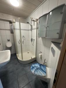 a bathroom with a shower and a toilet and a sink at Fewo Tanja in Bestwig +10 photos