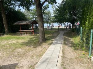 a path in a park with a bench and a tree at Domki u Ani in Białka