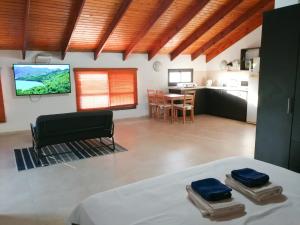 a living room with a bed and a kitchen at Assaf's place - המקום של אסף in Aẖihud
