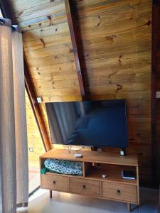 a television on a stand in a room with wooden walls at Chalé in Jaraguá do Sul