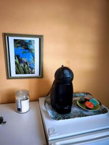 a tea kettle sitting on top of a refrigerator at Villa Rosa Karibella in Saint-François
