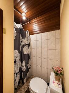 a bathroom with a toilet and a shower at Arianas Place 2 in Huehuetenango