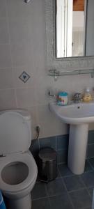 a bathroom with a toilet and a sink and a mirror at Mesakti in Armenistis