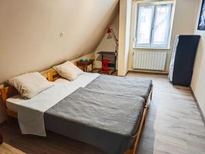 a bedroom with a large bed in a room at Appartement charmant et atypique, wifi, terrasse, jardin in Schleithal