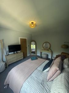 a bedroom with a large bed and a flat screen tv at House Aurora in Edinburgh +14 photos