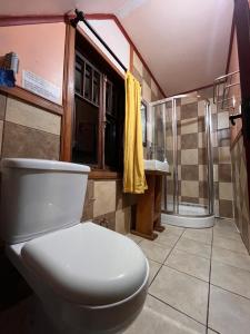a bathroom with a toilet and a shower at Amura Hostel in Puerto Varas