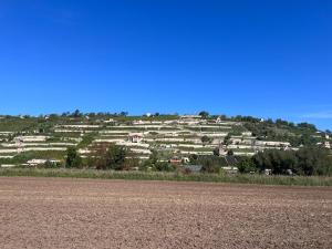 auliculiculiculiculiculiculiculiculiculiculiculiculiculiculic at Casa Vinea in Freyburg