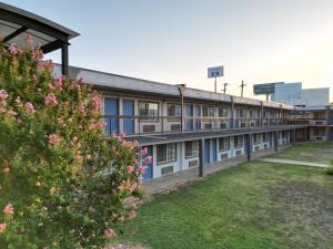a building with blue and white windows and a yard at Texas Inn & Suites in Denton