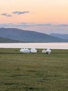 a group of tents in a field next to a body of water at Horse Riding Son-kol in Song-Kul