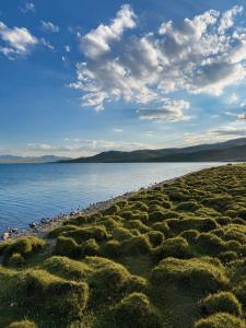 a group of birds on the shore of a body of water at Horse Riding Son-kol in Song-Kul +31 photos