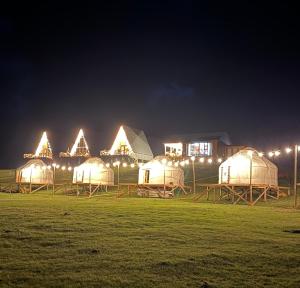 a group of domes in a field at night at Yurt Camp by Fly Service in Song-Kul