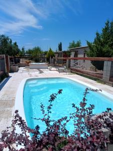 a swimming pool in the backyard of a house at Nelumbo Petit Chalet in San Rafael