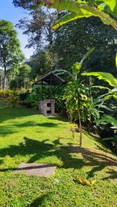 a garden with a black umbrella in the grass at Alojamiento temático Rancho Texas in La Mesa