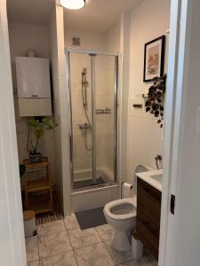 a bathroom with a shower and a toilet and a sink at Barnaba Domki in Pobierowo +101 photos