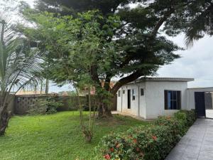 a small white house with a tree in the yard at The Grace Villa in Abeokuta