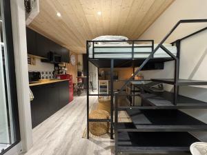 a loft bed in a room with a kitchen at Le Refuge in Margencel +11 photos