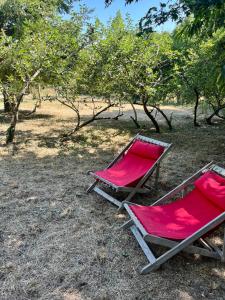 two red chairs sitting on the ground next to trees at La caravane dans le verger in Saint-Erblon