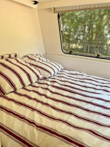 a striped bed in a room with a window at La caravane dans le verger in Saint-Erblon