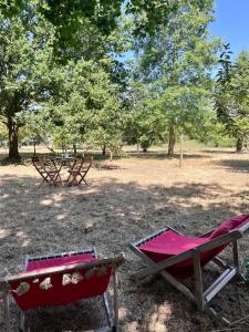 two picnic tables in a field with trees at La caravane dans le verger in Saint-Erblon