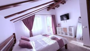 a bedroom with a bed and a tv in it at Ammon Mountain Villas in Bran
