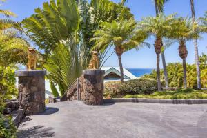 a pathway with palm trees and the ocean in the background at Waterfall House - Hawaii in Kailua-Kona