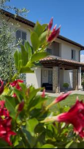 a house with red flowers in front of it at Il Cerro in Arezzo
